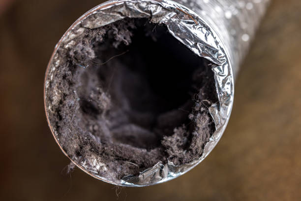Best Residential Air Duct Cleaning  in Big Stone Gap, VA